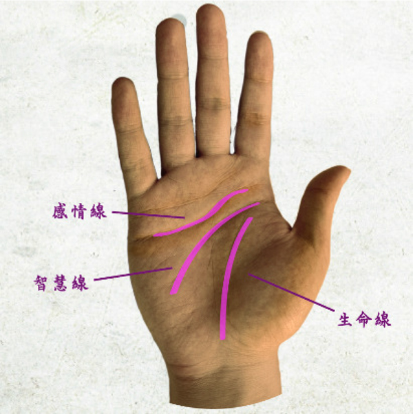 palm